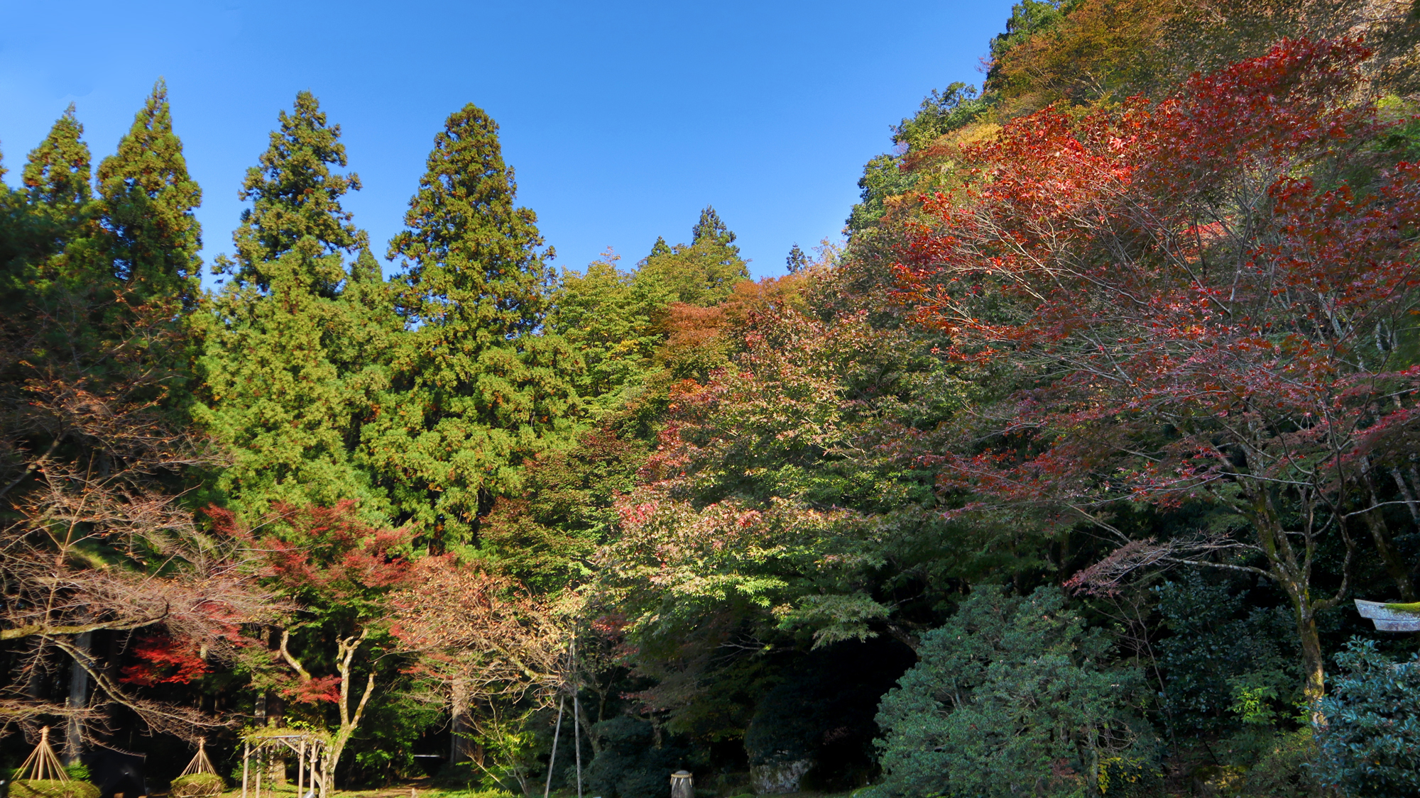 今年の長生館は紅葉が若干遅めです