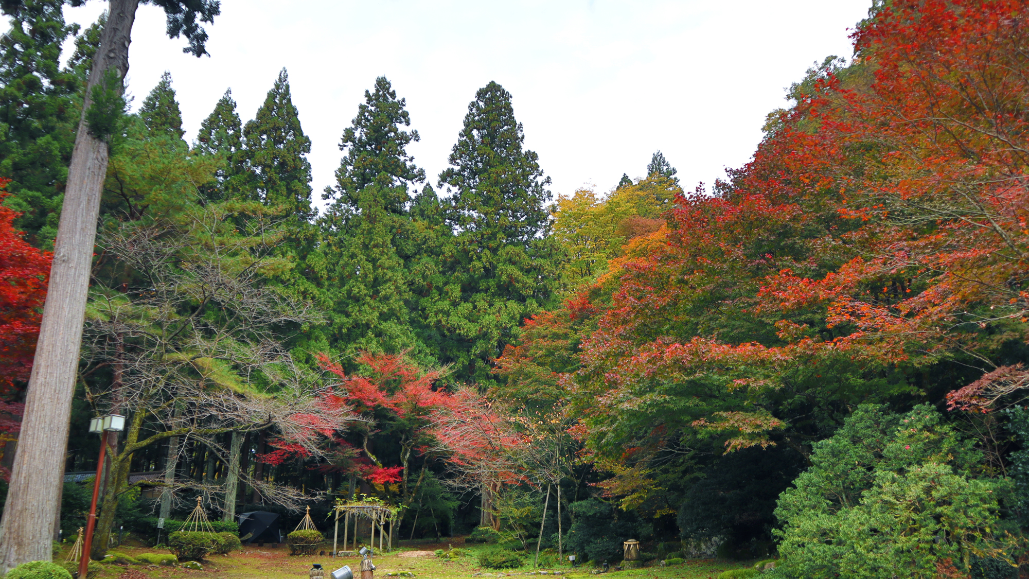 11月20日現在の長生館紅葉情報！