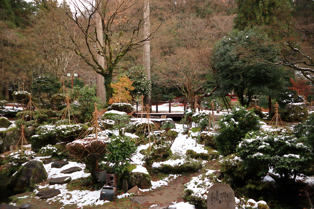 12月現在の庭園の様子です